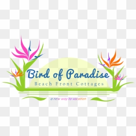 Transparent Bird Of Paradise Plant Png - Bird Of Paradise Logo, Png Download - bird of paradise png