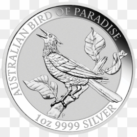 04 2019 Bird Of Paradise 1oz Silver Bullion Straighton - Kookaburra 2017 1 Oz, HD Png Download - bird of paradise png