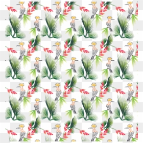 Transparent Bird Of Paradise Plant Png - Illustration, Png Download - bird of paradise png
