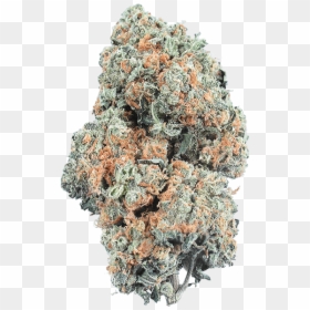 Mexican Pinyon, HD Png Download - bruce banner png