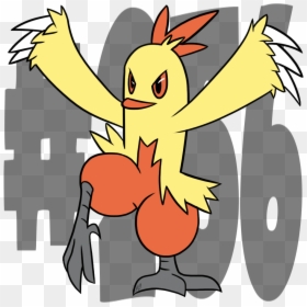 Combusken Pokemon Pokemonaday Crantime - Cartoon, HD Png Download - combusken png
