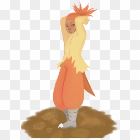 Trying A Different Style For Combusken - Cartoon, HD Png Download - combusken png