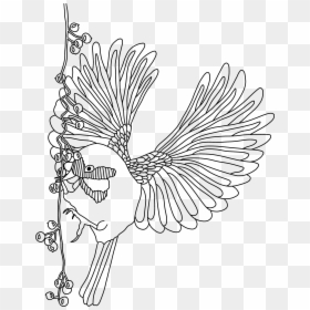 Line Art, HD Png Download - combusken png
