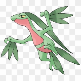 Combusken Png, Transparent Png - combusken png
