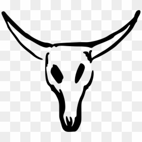 Skull, Cow, Cattle, Longhorn, Bull, Ox, Skeleton - Deer Skull Drawing Easy, HD Png Download - ox png