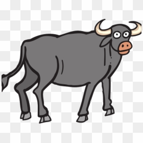Ox Clipart Toro - Buffalo Clipart Png, Transparent Png - ox png