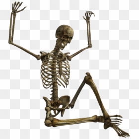 Squelette Png, Tube Halloween - Squelette Halloween Sur Fond Transparent, Png Download - halloween skeleton png