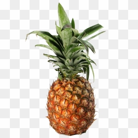 Transparent Pineapple - Pineapple, HD Png Download - pineapple .png