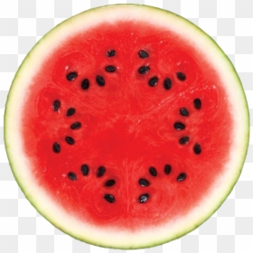 Watermelon Png Images Hd - Round Sliced Water Melon, Transparent Png - watermelon.png