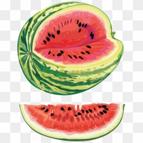 Free Download Of Watermelon Png Clipart - Watermelon Seed Oil Plant, Transparent Png - watermelon.png