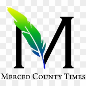 Merced County Times, HD Png Download - disappointed png