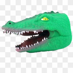 American Crocodile, HD Png Download - alligator head png