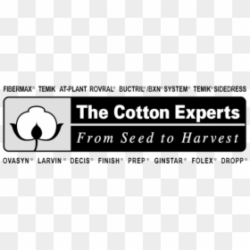 Parallel, HD Png Download - cotton plant png