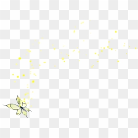 Insect, HD Png Download - butterfly .png