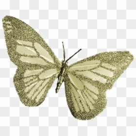 Deco Table Mariage, HD Png Download - butterfly .png