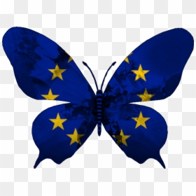 Emblem European Union Logo, HD Png Download - butterfly .png