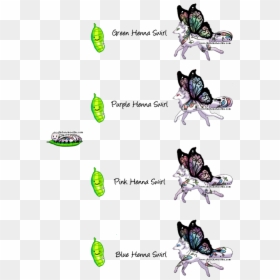 Clip Art, HD Png Download - butterfly .png