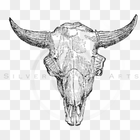 Aztec Clipart Cow Skull - Bison Drawing, HD Png Download - bull horn png