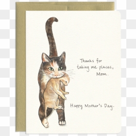 Adorable Cat & Kitten Mother"s Day Greeting Card - Paper, HD Png Download - happy cat png