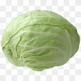 Cabbage Png, Transparent Png - fresh png