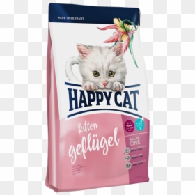 Happy Cat Kitten Food, HD Png Download - happy cat png