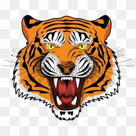 Tiger, Royal Bengal Tiger, Tiger Face, Angry Tiger - Royal Bengal Tiger Png, Transparent Png - tigre png