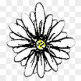 Transparent Daisy Png Tumblr - Transparent Summer Aesthetic Transparent Tumblr Flower, Png Download - daisy png tumblr