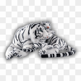 Filhotes De Tigre - Bengal Tiger, HD Png Download - tigre png
