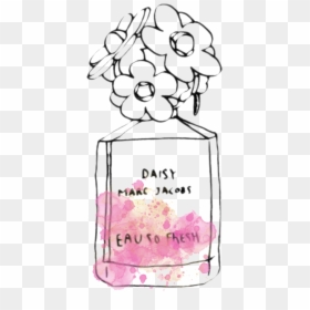 Transparent Image - Daisy Marc Jacobs Transparent, HD Png Download - daisy png tumblr