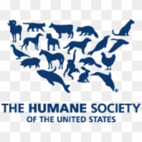 Image Placeholder Title - United States Humane Society, HD Png Download - aspca logo png