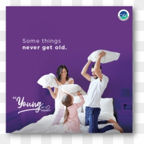 Pillow Fight Family, HD Png Download - aster png
