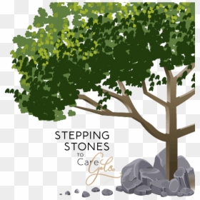 Canoe Birch, HD Png Download - stepping stones png