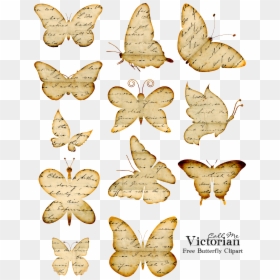 Printable Craft Butterflies, HD Png Download - distressed overlay png