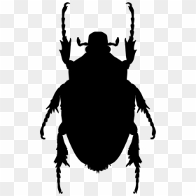 Insect Shape Of Stink Bug - Bug Silhouette Png, Transparent Png - stink png