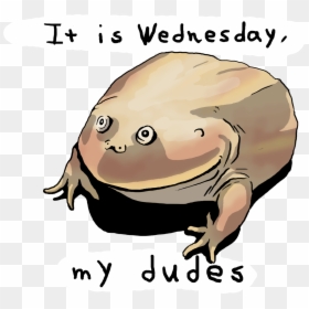 Cartoon, HD Png Download - wednesday frog png