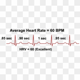 Heart Rate Variability And Bpm, HD Png Download - heart pulse png