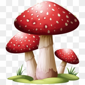 Red Mushroom Drawing, HD Png Download - setas png