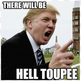 Trump You Re Fired Funny, HD Png Download - donald trump toupee png