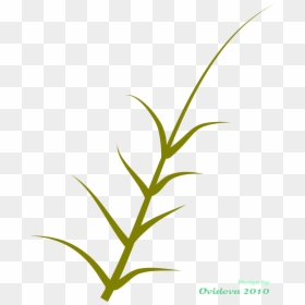 Grass Clipart , Png Download - Clip Art, Transparent Png - grass plant png