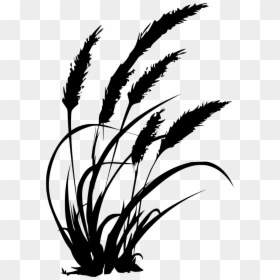 Grass Clipart Black And White Png, Transparent Png - grass plant png