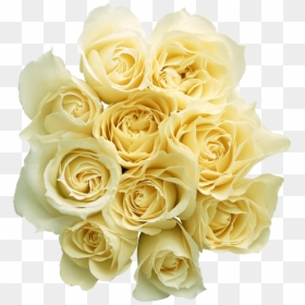 White Rose Png Transparent, Png Download - gothic rose png