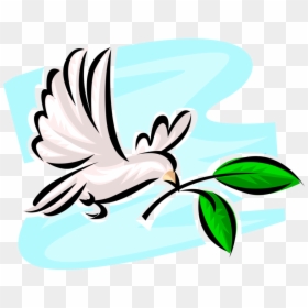 Vector Illustration Of Dove Of Peace Bird Secular Symbol, HD Png Download - dove vector png