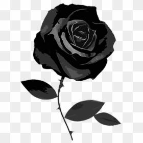 #gothic #black #flower #rose #goth #freetoedit - Black Rose White Background, HD Png Download - gothic rose png
