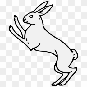 Rabbit, HD Png Download - rabbits png