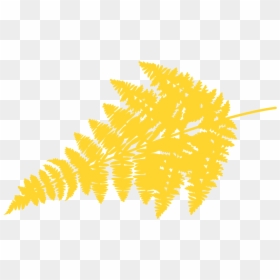 Illustration, HD Png Download - fern leaf png