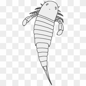 Nanahughmilleria Norvegica Restoration - Line Art, HD Png Download - nana png