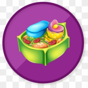 Transparent Animal Cell Png, Png Download - plant cell png
