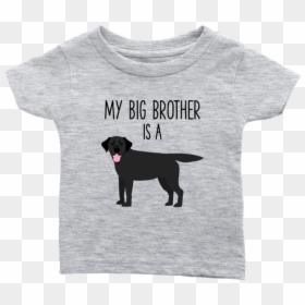 My Big Brother Is A Black Labrador Retriever Baby T - T-shirt, HD Png Download - black lab png