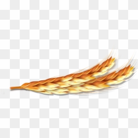 Tail, HD Png Download - espigas png