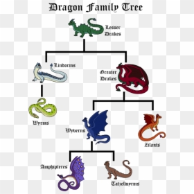 D&d Dragon Family Tree, HD Png Download - wyvern png